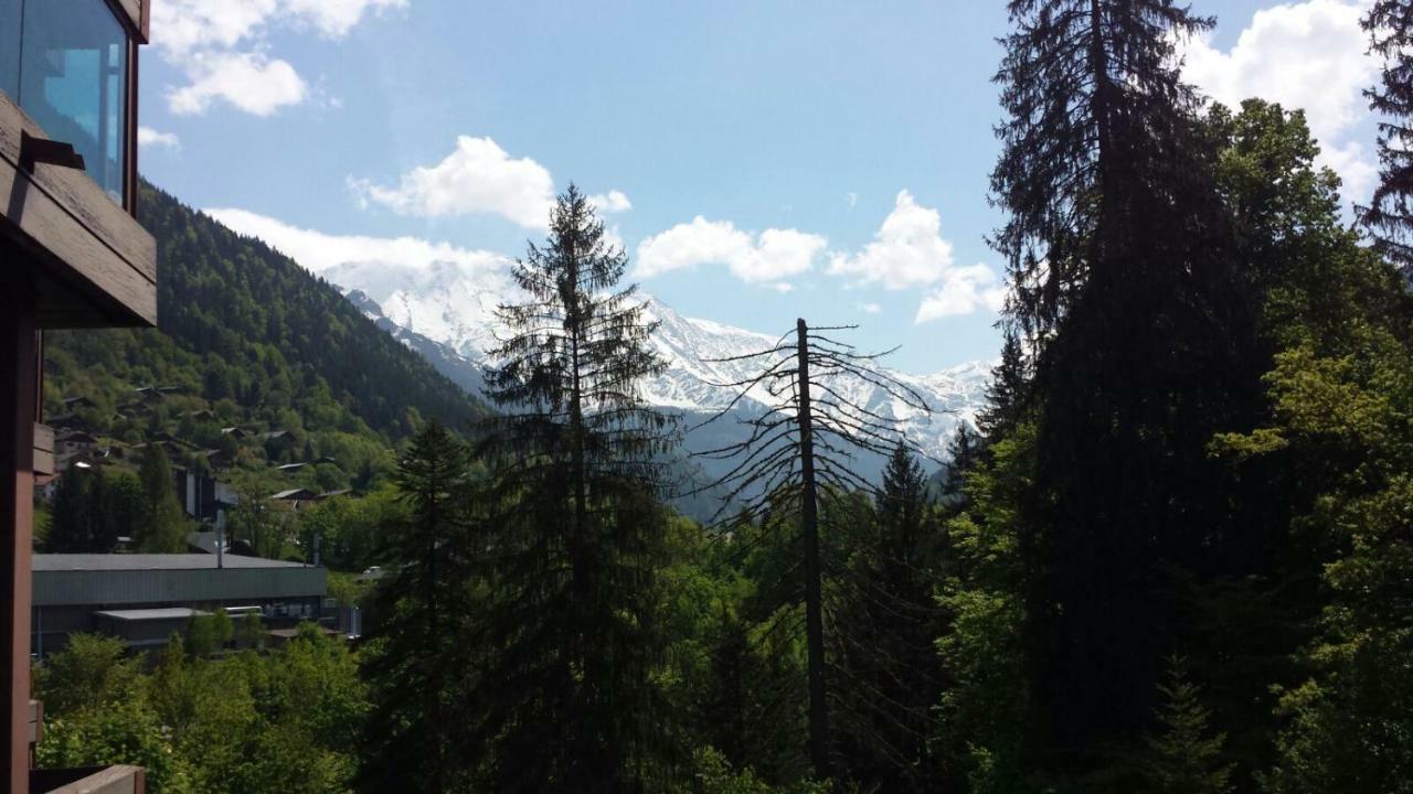 Castel Des Roches Leal Julien * Saint-Gervais-les-Bains